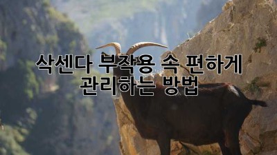 삭센다 부작용, 속 편하게 관리하는 방법