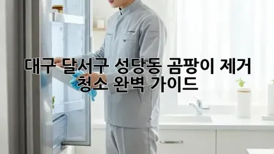 대구 달서구 성당동 곰팡이 제거 청소 완벽 가이드